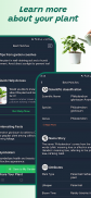Plant identifier screenshot 2