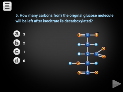 Biology Cellular Respiration L screenshot 8