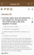 Bible Study apps screenshot 4