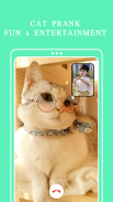 Cat Fake Video Call Cat Game screenshot 4