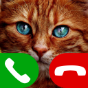 Fake Call gatto Icon