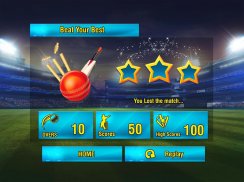 World Cricket Cup Tournament screenshot 4