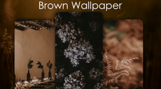 Brown wallpapers FullHD - Brown color Wallpapers screenshot 1