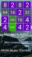 2048 Variations screenshot 0