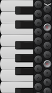 Piano Accordion screenshot 0