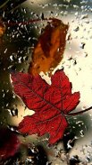 Leaf Wallpaper Full HD screenshot 10