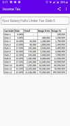 Income Tax Calculator screenshot 2