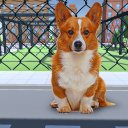 Animal Shelter: Pet Rescue Sim