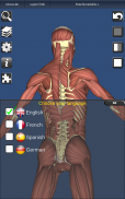 3D Bones and Organs (Anatomy) screenshot 6