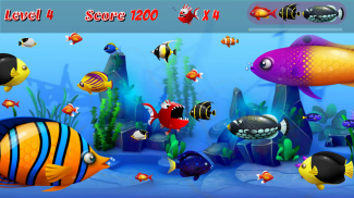 Hungry Piranha Fish screenshot 2