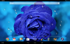 Blue Rose Drops LWP screenshot 2