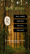 Future in Runes. Professional screenshot 6