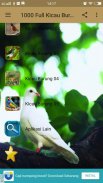 1000 Full Kicau Burung Lengkap screenshot 2