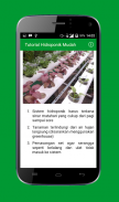 Tutorial Hidroponik Mudah screenshot 2