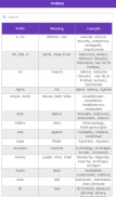 Prefixes Suffixes & Root Word screenshot 2