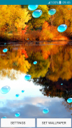 Live Wallpapers – Autumn screenshot 1