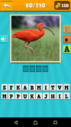 Animals Quiz screenshot 11