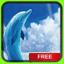 Dolphins Ocean Splash Live Wallpaper Background Icon