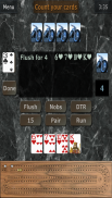 GrassGames' Cribbage screenshot 3