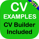 CV EXAMPLES 2019