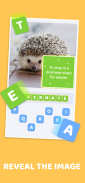 Word Pics: Trivia Puzzles screenshot 9