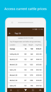 Beef Market Central screenshot 0