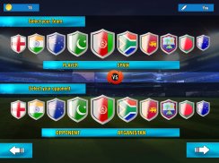 World Cricket Cup Tournament screenshot 13
