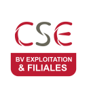 CSE Bureau Veritas Exploitatio icon