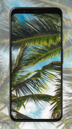 Palm Tree Wallpapers screenshot 0