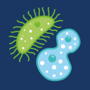 Bacteriology & Microbiology Icon