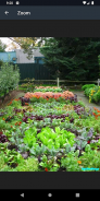 Backyard Vegetable Garden Design Ideas screenshot 2