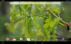 Drops Leaves LWP Free screenshot 2