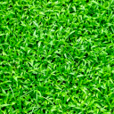 Grass Wallpapers