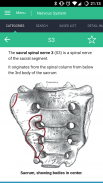 Nervous System Reference Guide screenshot 2