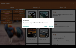 Rooster Sounds screenshot 6