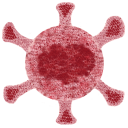C Virus Terminator