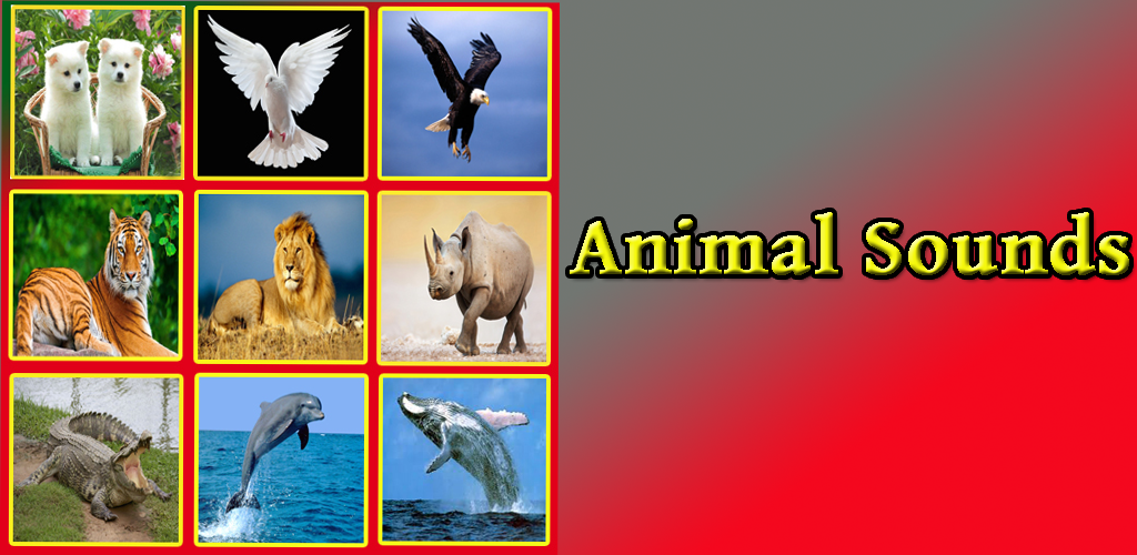 Animal Sounds for Kids دانلود APK اندروید | Aptoide