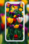 Spring Wallpaper 🌸 🌹 🌺 🌻 🌼 🌷 screenshot 0