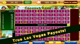 Lucky Numbers Keno Games Free screenshot 1