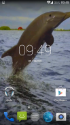 Dolphin 3d. Video Wallpaper screenshot 2