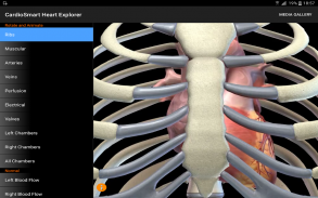 CardioSmart Heart Explorer screenshot 5