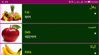 Learn Urdu From Bangla screenshot 6