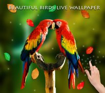 Birds 3D Live Wallpaper screenshot 2