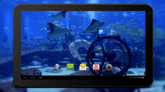 4K Aquarium Tank Video Live Wallpaper screenshot 2
