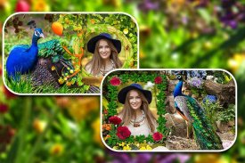 Peacock Photo Frames screenshot 3