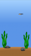 Animal de compagnie grenouille screenshot 1