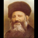 ציטוט יומי הרב קוק Icon