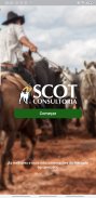 Cotações Scot Consultoria screenshot 7