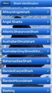 Shark Bytes screenshot 8