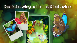 Flutter: Butterfly Sanctuary screenshot 1